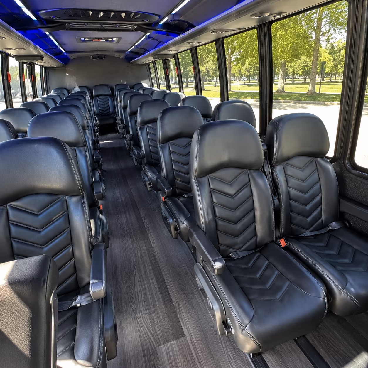 charleston wedding transportation